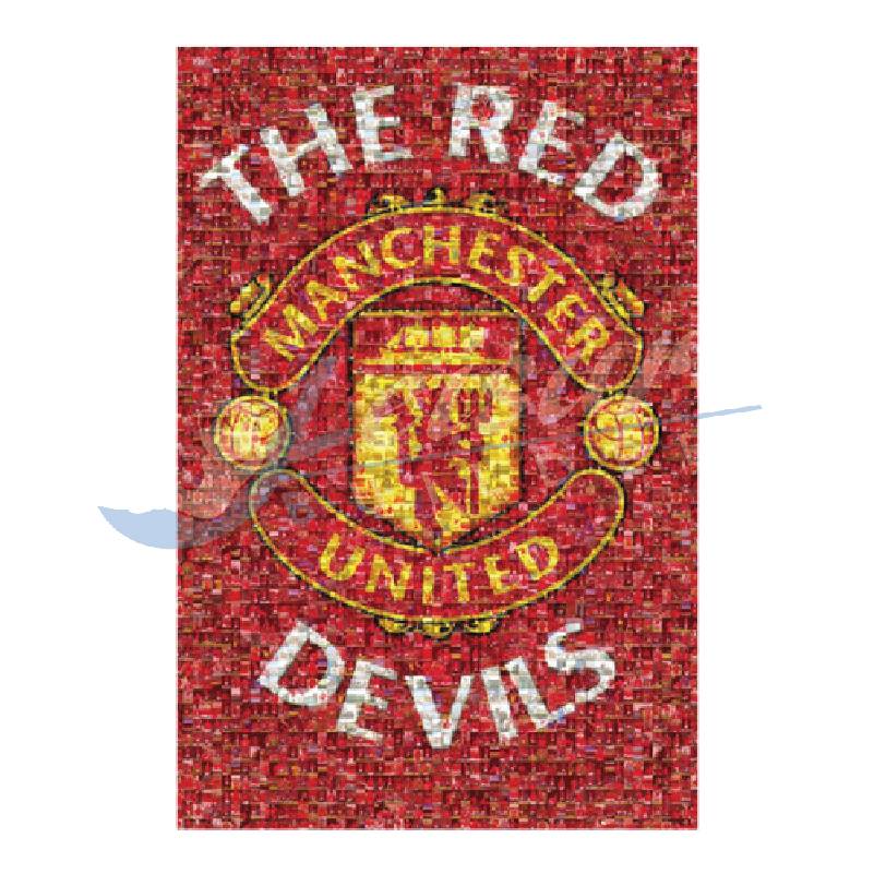 The Red Devils Manchester United
